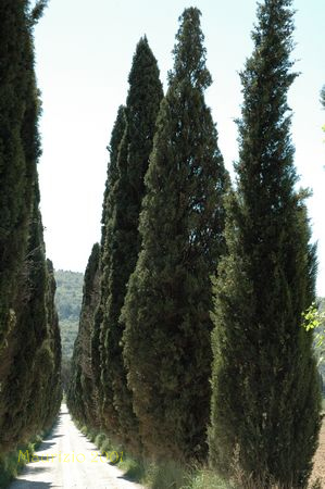 piazzano 105.jpg